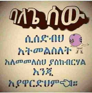 the cover of the book, the book of the bible